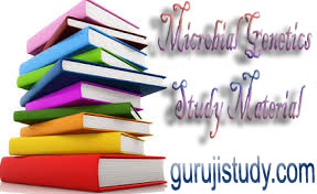 BSc Microbiology Microbial Genetics Notes Study Material